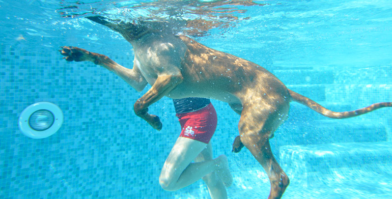 Unterwassertraining für unseren Awalani Schatz!