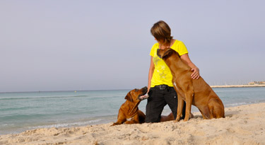 Dreamteam am Strand...