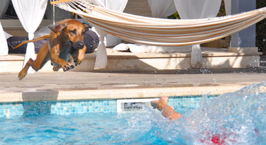 Anyawu ist mir beim Poolspringen immer auf den Fersen...