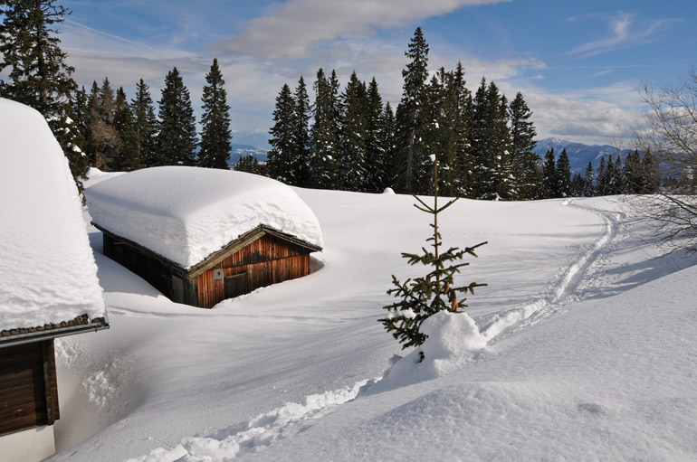 Nur eine einzelne Tourenskispur unterbricht die unberührte Winterlandschaft...
