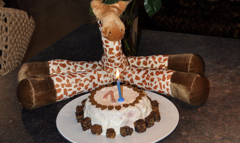 Happy Birthday Awalani!