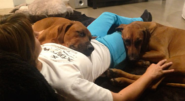 Nach einem erlebnisreichen Spaziergang ist immer gemeinsames kuscheln angesagt...
