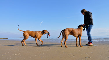 Sonne, Strand und Meer geniessen...