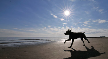 Strandlauf...