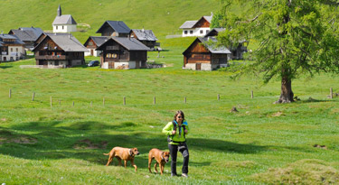 Im Hintergrund die Egger Alm - richtig urig gemütlich.