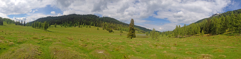 Blühende Almwiesen am Weg zum Poludnigsteig...