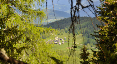 Beim Aufstieg lohnt sich ein Blick zurück... auf die Egger Alm!