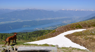 Grandiose Aussicht auf den Millstätter See und die umliegenden Berge...