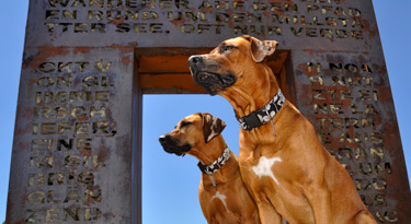 Unser beiden Rhodesian Ridgebacks Awalani und Anyawu beim posen vor dem Granattor. Dieses mächtige Tor entstand durch die Idee, in der Gegend des grössten Granatvorkommen Europas diesen kostbaren Edelstein zu huldigen.