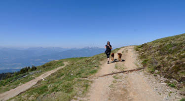 Gemütlich geht´s wieder zurück zur Lammersdorfer Alm...