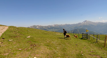 Schöne Wanderwege und herrliche Panoramablicke erwarten uns am Millstätter See Höhenweg!