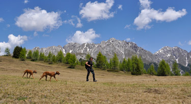 Am Weg zurück... im Hintergrund die Lienzer Dolomiten!