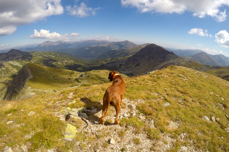 Die Aussicht ist traumhaft
