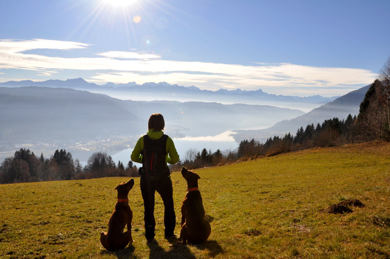 Traumhafter Ausblick über dem Ossiacher See und genug Platz zum Toben für unsere beiden Ridgebacks
