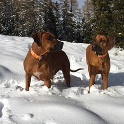 Dreamteam Awalani und Anyawu, den Beiden gefällt's und der erste Schnee der Saison ist immer was ganz Besonderes