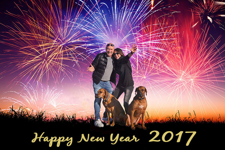 Happy New Year 2017