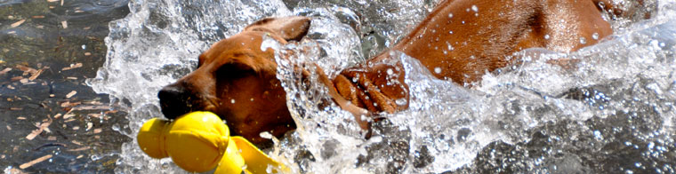 Ich und wasserscheu... dass ich nicht lache! ;)
