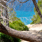 Schöne Aussichten auf dem Weg zum Strand...