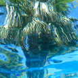 Tolle Perspektive - auch unter Wasser!