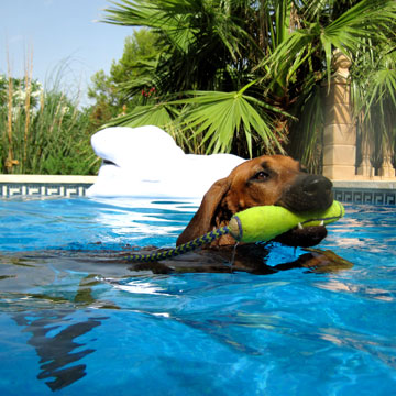 Schwimmt ja schon ganz gut...