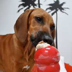 Soooooooo lecker!!!