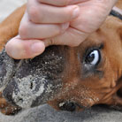 Gib´s mir... gib´s mir... das ist meins!