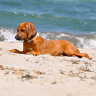 So ein bisserl Sonne, Strand und Meer ist schon eine coole Sache!