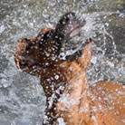 Das glaubt mir jetzt bestimmt niemand mehr, dass ich eigentlich wasserscheu bin... naja zumindest bei Wasser von oben... auch Regen genannt, aber zum Glück regnet es hier äusserst selten! ;)