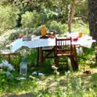 Das nenn´ ich mal ein Picknick...