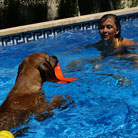 Tägliche Schwimmtrainingsstunde... ;)