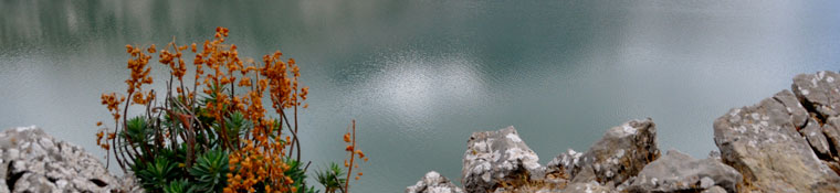 Blick über den Cuber Stausee auf den Puig Major...