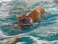 Schwimmen im Son Hugo Stadion... ein wahrer Genuss!