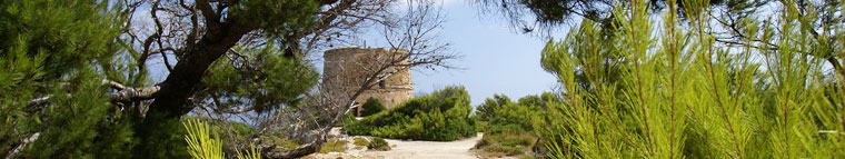 Der Torre d´Albarca ist schon in Sicht...