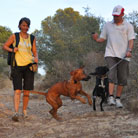 Spaziergang mit Marcos und Nero!