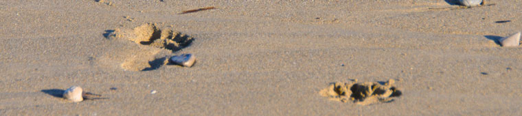 Unsere Spuren im Sand...