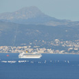 Eine Segelregatta in der Bucht von Palma und dahinter das einlaufende Kreuzfahrtschiff.
