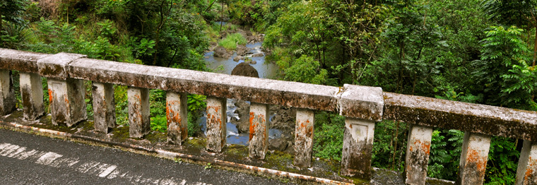 Der 'Hana Highway' ist wirklich sehenswert...