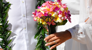 Mein Brautstrauss... traumhaft schöne Plumerias und einige Orchideen... sogar ein Schmetterling hat Platz genommen...