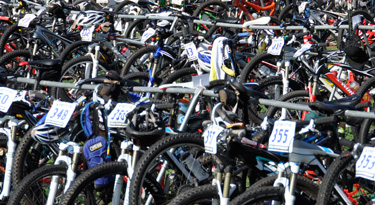 Die Bikes warten in der Wechselzone...