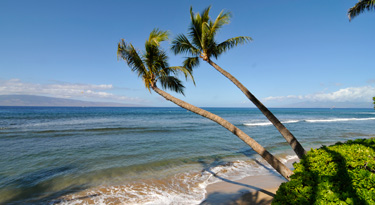 Kaanapali Beach ein wunderschöner langer Strandabschnitt mit vielen Schildkröten!