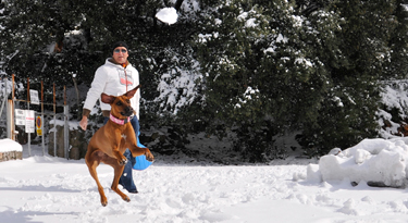 Wo ist der Schneeball... such, such!