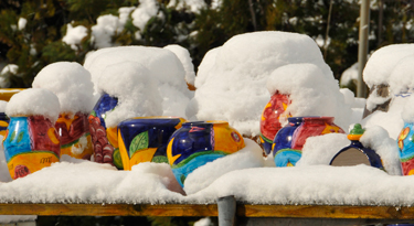 Mallorquinischer Verkaufsschlager mit Schneehäubchen!