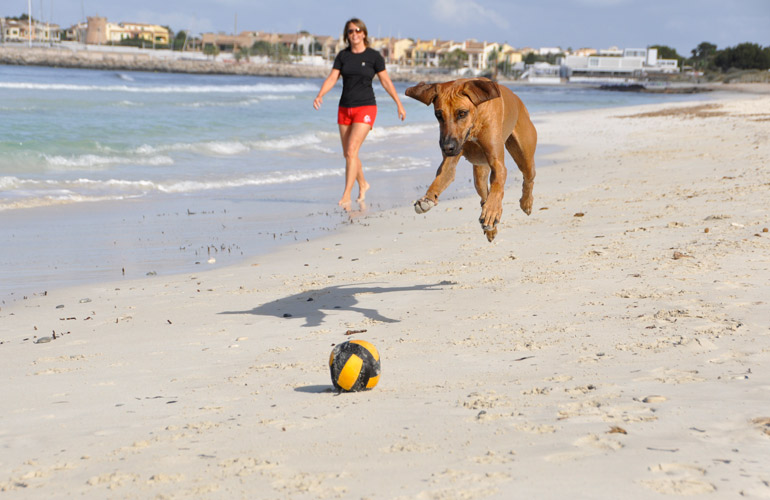 ...das nutzen wir gerne für einen ausgiebigen Spaziergang am Strand!