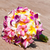 Mein Wunschtraum - Brautstrauss aus hawaiianischen Plumerias und Orchideen! Bunt wie das Leben!