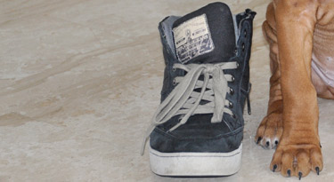 Die Schuhe sind noch ein bisserl zu gross!