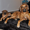 Wir sind jetzt schon ein super Team...
